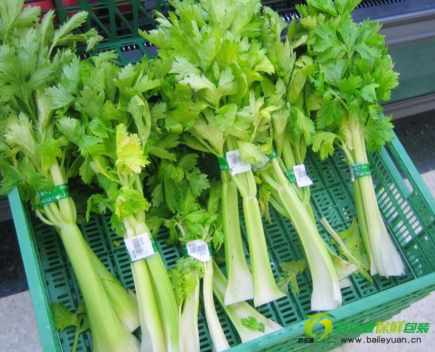 吃芹菜殺精嗎？