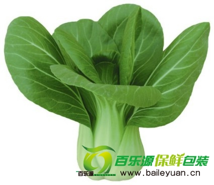 新鮮油菜買(mǎi)回家怎么保鮮？